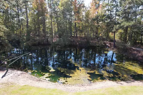 5 47acres-tbd High Hill Rd, Scranton, SC 29591 photo 4