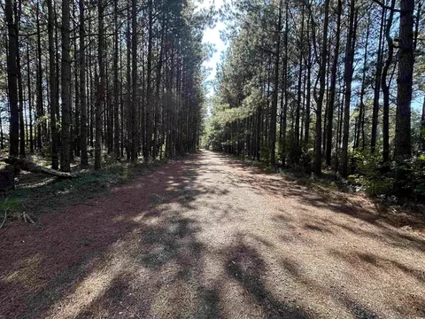 5 47acres-tbd High Hill Rd, Scranton, SC 29591 photo 23