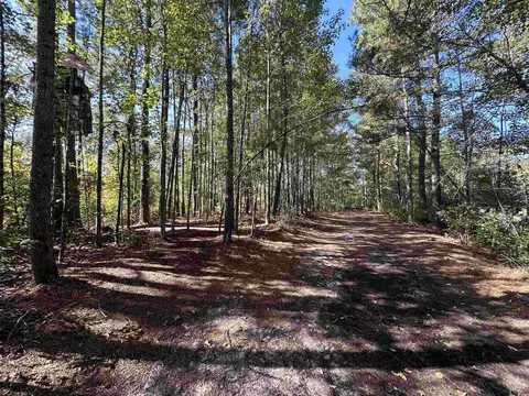 5 47acres-tbd High Hill Rd, Scranton, SC 29591 photo 13