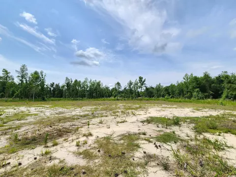 5375 Long Branch Swamp Rd, Nichols, SC 29581