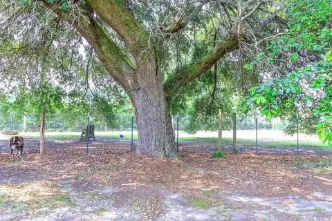 3150 Dusty Rd, Loris, SC 29569 photo 28