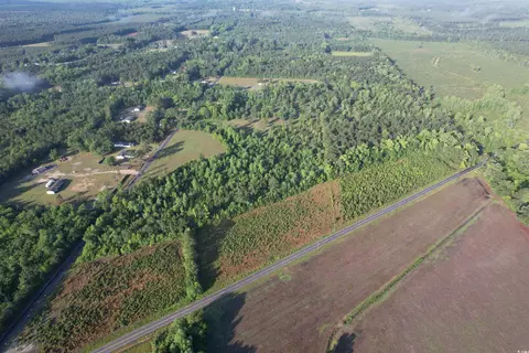 7 Acres-tbd Old Pee Dee Rd, Hemingway, SC 29554 photo 6