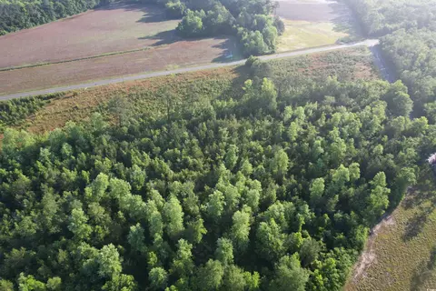 7 Acres-tbd Old Pee Dee Rd, Hemingway, SC 29554 photo 8