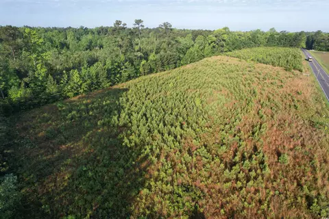 7 Acres-tbd Old Pee Dee Rd, Hemingway, SC 29554 photo 4