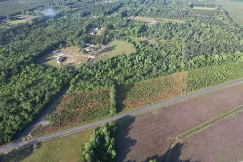 7 Acres-tbd Old Pee Dee Rd, Hemingway, SC 29554 photo 7