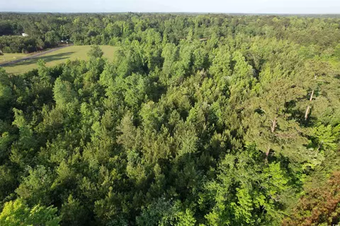 7 Acres-tbd Old Pee Dee Rd, Hemingway, SC 29554 photo 5