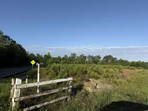 7 Acres-tbd Old Pee Dee Rd, Hemingway, SC 29554 photo 2