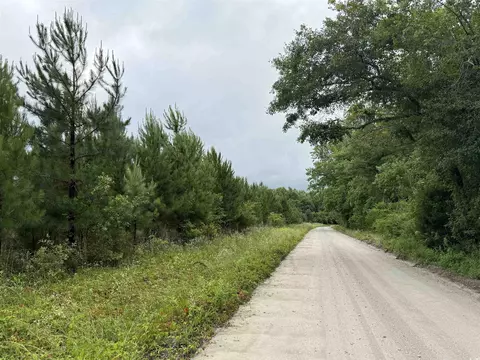 Macedonia Dr., Loris, SC 29569 photo 5
