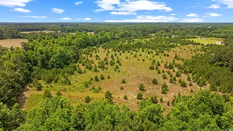 Macedonia Dr., Loris, SC 29569 photo 18