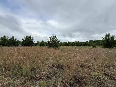 Macedonia Dr., Loris, SC 29569 photo 3
