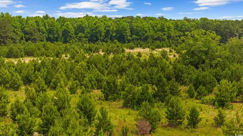 Macedonia Dr., Loris, SC 29569 photo 16