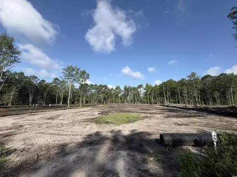 116 Dave Carr Ct, Myrtle Beach, SC 29588