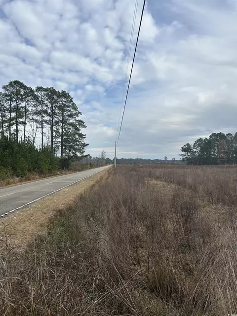 tbd Williams Hill Rd, Hemingway, SC 29554