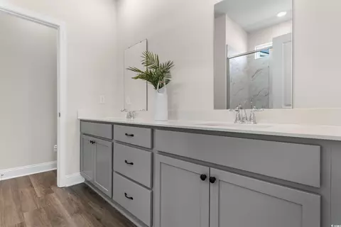 Other - 725 Doonbeg Ct, Conway, SC 29526 photo 7 of 14