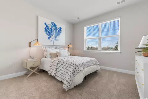 Bedroom - 733 Doonbeg Ct, Conway, SC 29526 photo 3 of 5