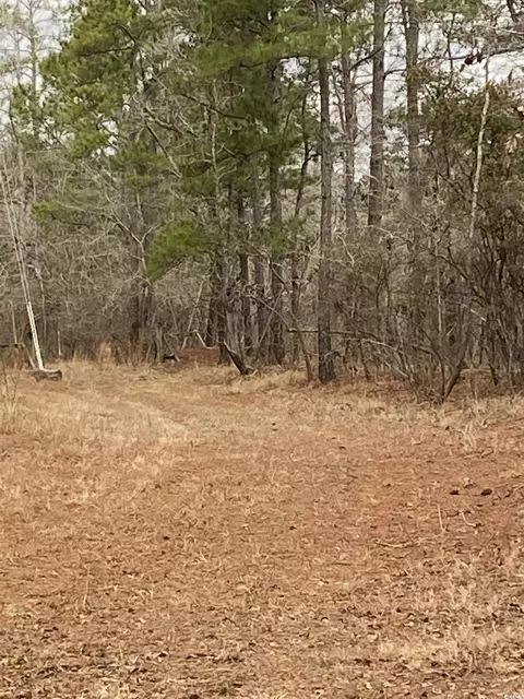 tbd Hidden River Rd, Longs, SC 29568 photo 3