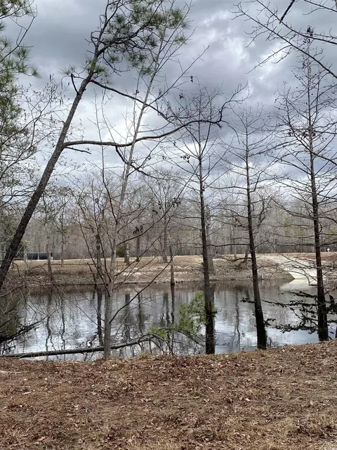 tbd Hidden River Rd, Longs, SC 29568 photo 6