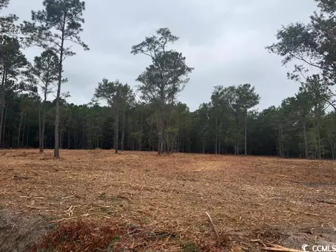 1 Mcnabb Rd # -A, Loris, SC 29569 photo 3