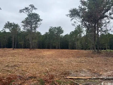1 Mcnabb Rd # -A, Loris, SC 29569 photo 4