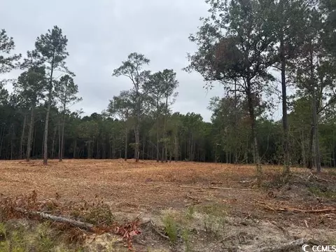 1 Mcnabb Rd # -A, Loris, SC 29569 photo 2