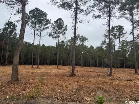 2 Mcnabb Rd # -A, Loris, SC 29569 photo 2