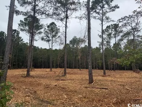 2 Mcnabb Rd # -A, Loris, SC 29569 photo 3