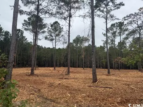 2 Mcnabb Rd # -A, Loris, SC 29569 photo 4