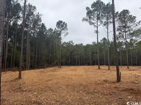 3 Mcnabb Rd # -A, Loris, SC 29569