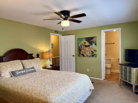 371 Meadowlark Dr, Surfside Beach, SC 29575 photo 21