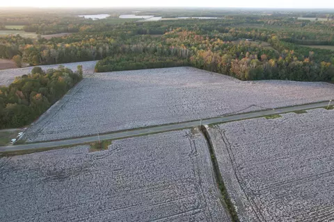 tbd Bartells Rd, Hemingway, SC 29554
