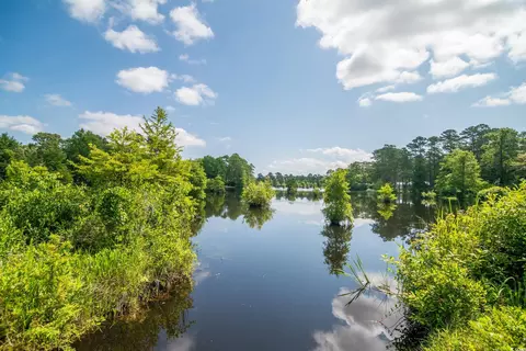 66 Johnstone Ln, Georgetown, SC 29440 photo 37
