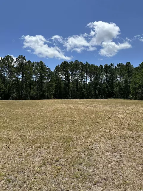 218 Samworth Loop, Georgetown, SC 29440 photo 6