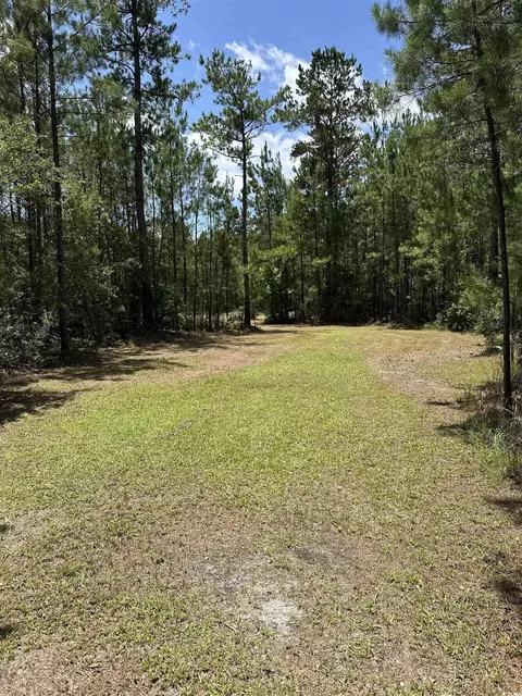 218 Samworth Loop, Georgetown, SC 29440 photo 3