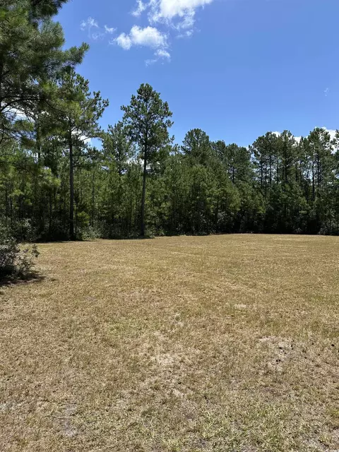 218 Samworth Loop, Georgetown, SC 29440 photo 7