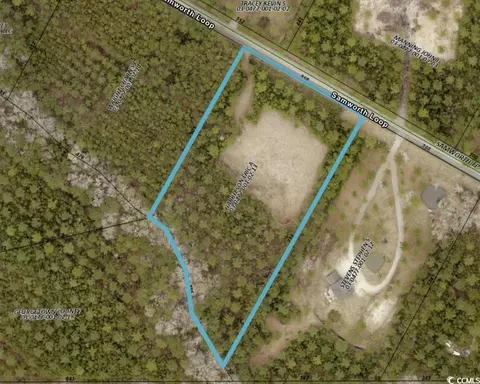 218 Samworth Loop, Georgetown, SC 29440 photo 16