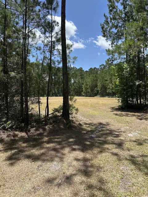 218 Samworth Loop, Georgetown, SC 29440 photo 4