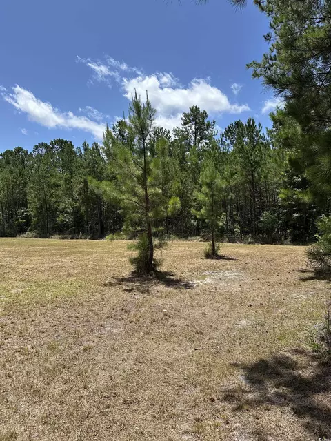 218 Samworth Loop, Georgetown, SC 29440 photo 5