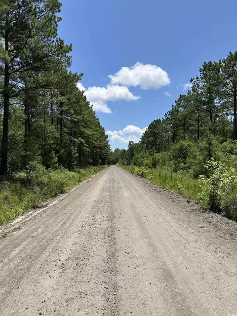 218 Samworth Loop, Georgetown, SC 29440 photo 10