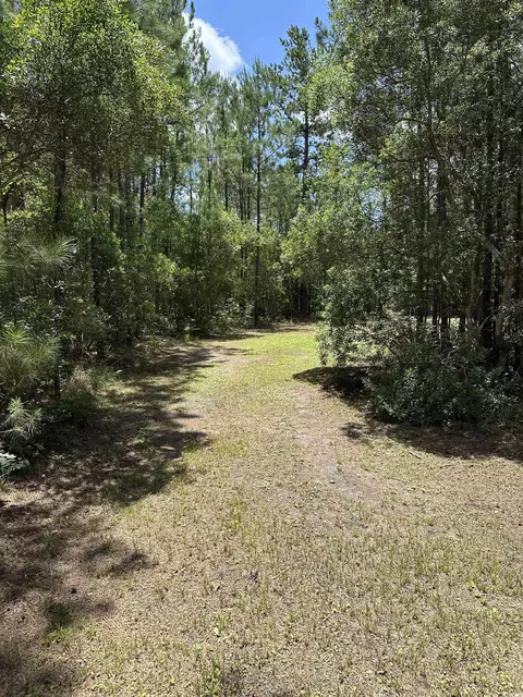 218 Samworth Loop, Georgetown, SC 29440 photo 2