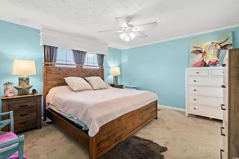 399 Calico Rd, Loris, SC 29569 photo 14