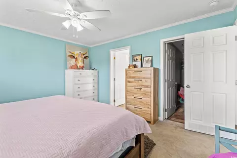 399 Calico Rd, Loris, SC 29569 photo 15