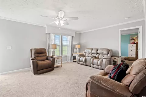 399 Calico Rd, Loris, SC 29569 photo 5