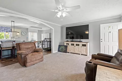 399 Calico Rd, Loris, SC 29569 photo 4