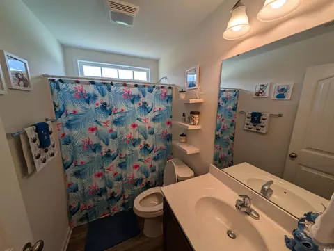 Bath - 671 American Beech St, Loris, SC 29569 photo 2 of 2