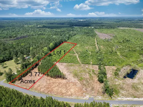 tbd Bellaire Dr, Nichols, SC 29581