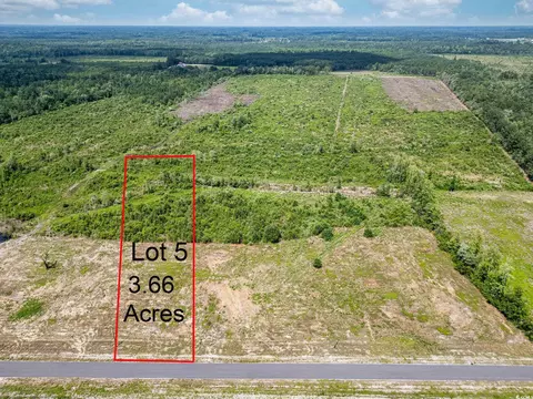 tbd Bellaire Dr, Nichols, SC 29581