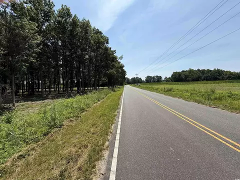 lot4 Highway 668, Conway, SC 29526 photo 5