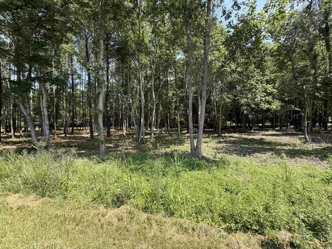 lot4 Highway 668, Conway, SC 29526 photo 2