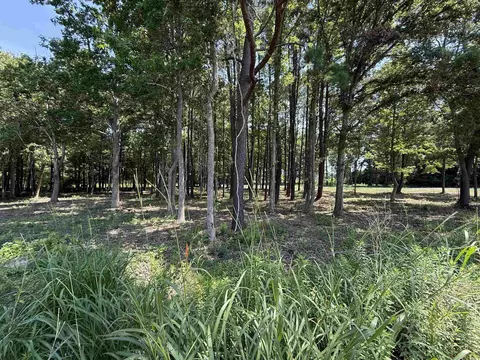 lot4 Highway 668, Conway, SC 29526 photo 6