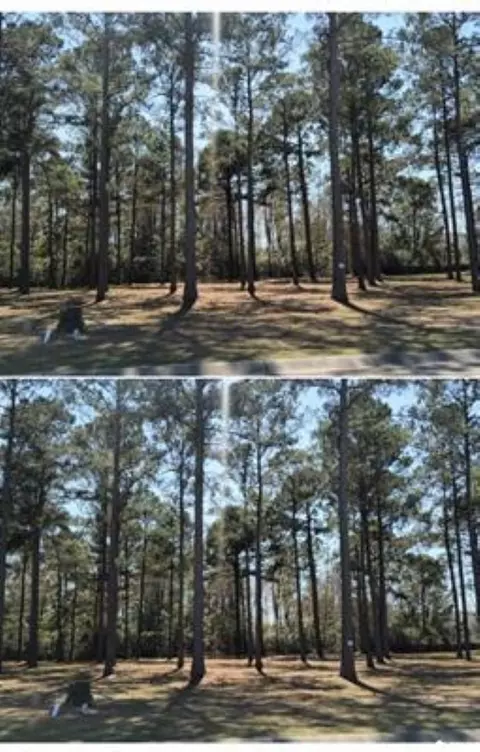 1152 Fiddlehead Way, Myrtle Beach, SC 29579